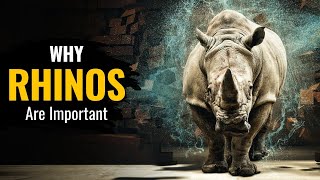 Why Rhinos Are Crucial for Our Ecosystem | The Planet Voice