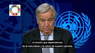 Día Mundial Medio Ambiente (05-Junio-2021)