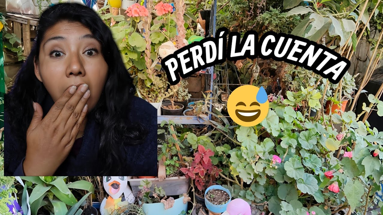 ¿ES NORMAL TENER TANTAS PLANTAS ❓❓HOY CONTÉ LAS MÍAS 🪴😅