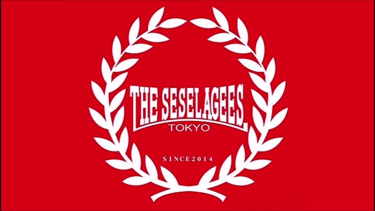 THE SESELAGEES Oi THE FUN セセラギーズ Oi PUNK THE SESELAGEES【ザ・セセラギーズ 】