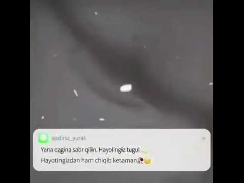 Qora videolar//Dardlarim//Sevgi statuslar #tiktok #shorts #tiktok_videolar #instagram