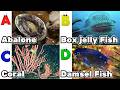 Toddler Learning - Learn Ocean Animals | Educational Videos for Kids | Learning Videos for Toddlers