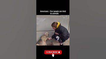 New part of America Vs India | India is not for beginners | Memes | Funny | Videos #funny  #shorts