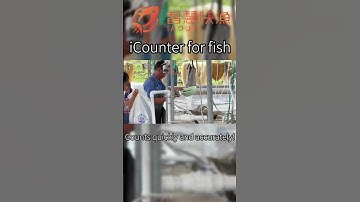 The fish fry dotting machine can dot 200,000 fries per hour with high accuracy. #aquaculture