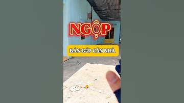 Đất Dầu Tiếng | Bán Gấp một căn nhà 9.2 x 28 ( tc 100 ) Giá : 1tyxxx