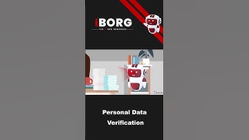 Elevate data accuracy in banking with iBorg!
