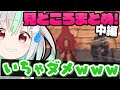 【ゼノブレイド2】感動のシーンもまともじゃない?!2週目プレイまとめ!中編【バフコ】