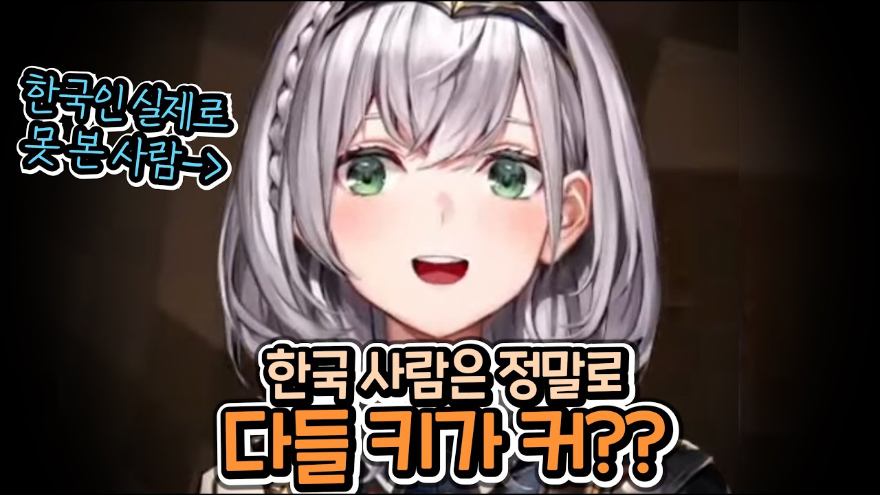 제 국적이 사라졌어요 [홀로라이브 | 시로가네 노엘]