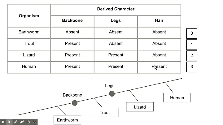 How to Create a Cladogram