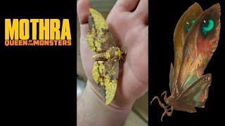 Mothra (Real Life Giant Moth)