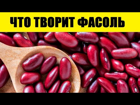 Даже Одна Фасоль в День, Вызывает Необратимый Процесс! Лечит Поджелудочную, Диабет, Почки...