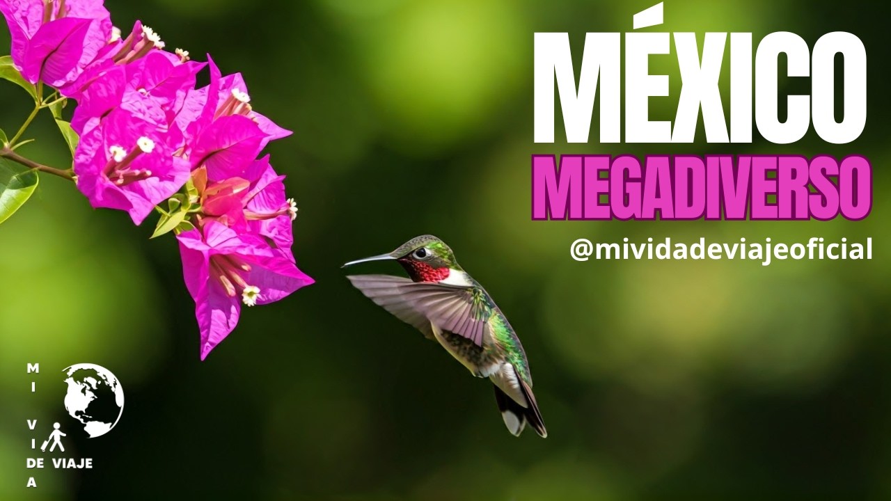 MÉXICO, PAÍS MEGADIVERSO /Mexico's Hidden Wonders: Exploring Diverse