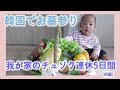 韓国のお墓参りにびっくり仰天。義両親のいない我が家のチュソク連休の過ごし方【前編】1/2【韓国在住・日韓夫婦・한일부부】