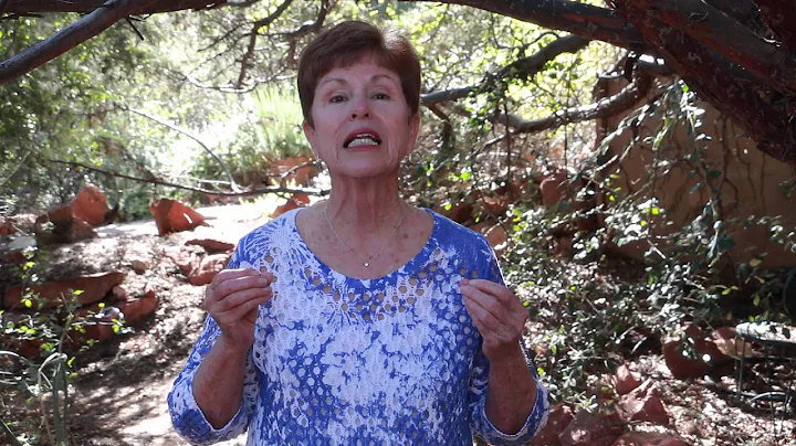Sedona Women's Institute Facilitator Training Program Introduction