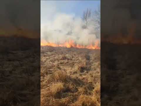 Gorj: 35 de incendii de vegetație într-o singură zi