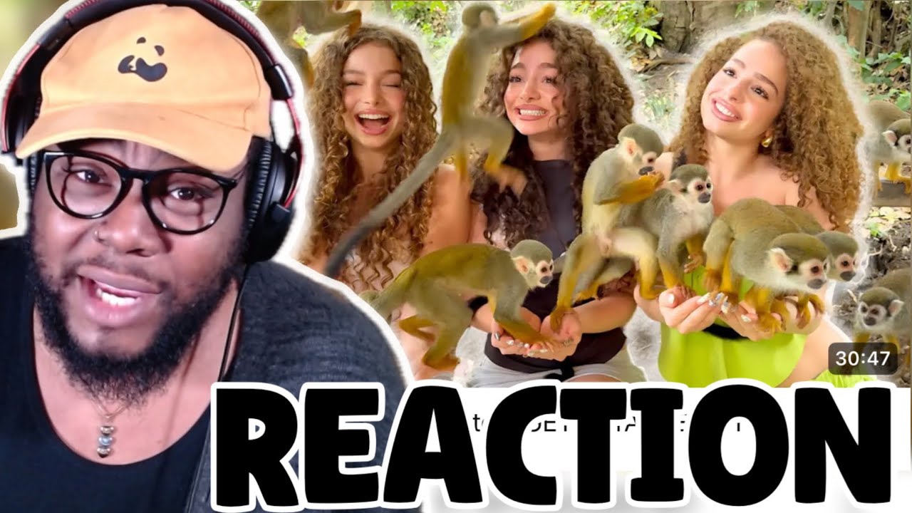 Kalogeras Sisters GET ATTACKED BY MONKEYS! | REACTION