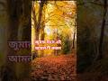 জুমার দিনে এই আমলটি করুন #shortvideo #islamicstatus #islamicvideo #doha #waz