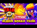 🟣 ЖДЁМ БРАВЛ ТОЛК! СТРИМ BRAWL STARS / ЖДЁМ АРТКУЛА / АПАЕМ ТРОФЕИ БРАВЛ СТАРС