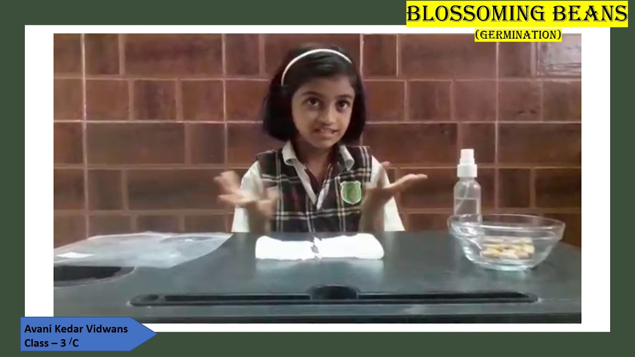 Science Day Presentation By students and teachers of Parle Tilak Vidyalaya English Primary school