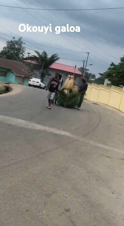 Okouyi galoa, la culture Gabonaise ❤️❤️🇬🇦