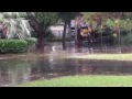 Flooding on Cardinal Road on Isle of Hope
