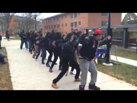 Unity Stroll at the Fall 2014 Greek BBQ with Lambda Alpha Upsilon