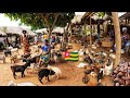 Largest rural  village market day in vogan togo west africa  cost of living in an african village