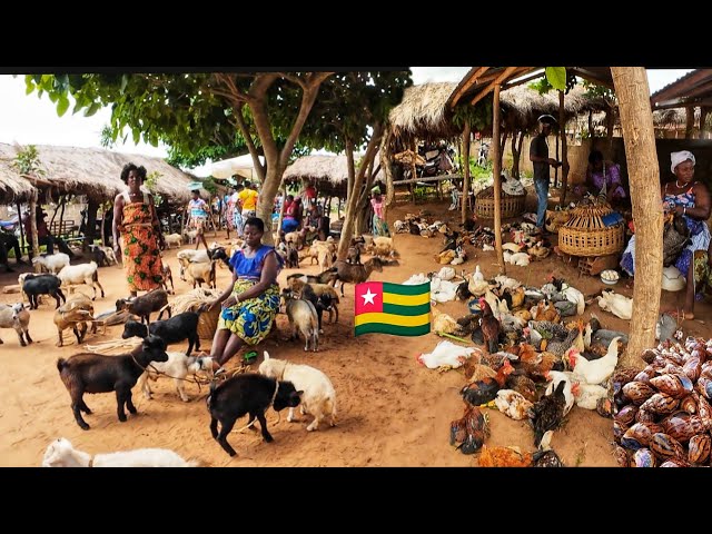 Largest rural  village market day in Vogan Togo west Africa 🌍 Cost of living in an African village🇹🇬 class=