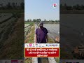 ਝੋਨੇ ਨੂੰ ਪਾਣੀ ਲਾਉਂਦੇ MLA Kuldeep Dhaliwal ! CM Bhagwant Mann ਦੀਆਂ ਤਾਰੀਫ਼ਾਂ 'ਚ ਕਹੀਆਂ ਵੱਡੀਆਂ ਗੱਲਾਂ