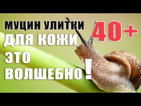 Муцин улитки. Мы ее на самом деле недооцениваем! Разбираем состав. Лучшая косметика!