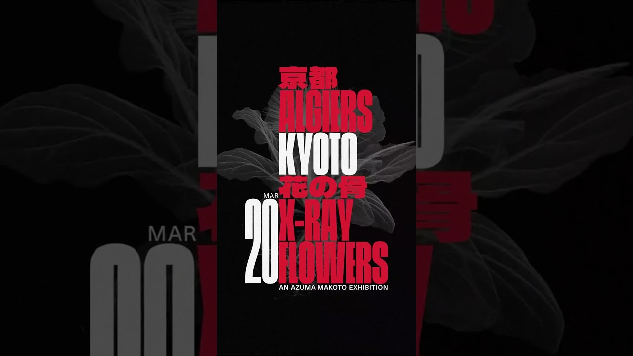骨と花 azumamakoto 'X-Ray Flowers' 花の骨 exhibition in Kyoto - YouTube
