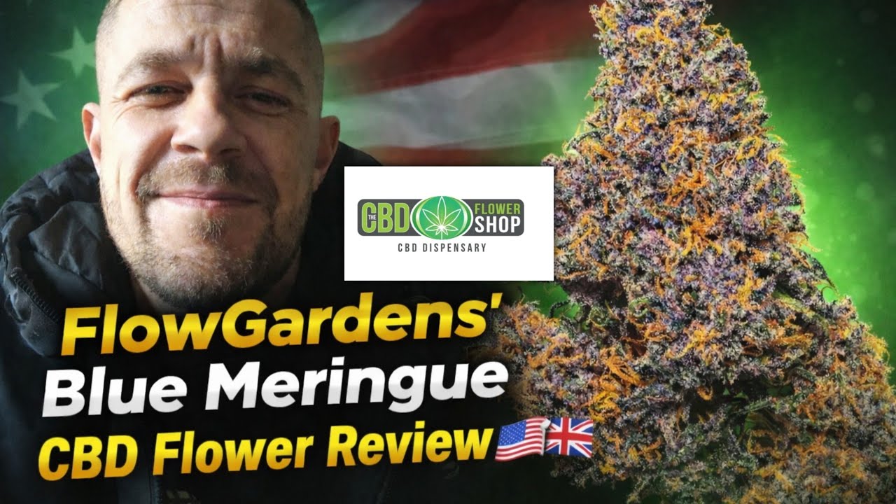 Blue Meringue CBD Flower Review - Flow Gardens - The CBD flower shop