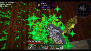 Stoneblock   Ep11 Chickens