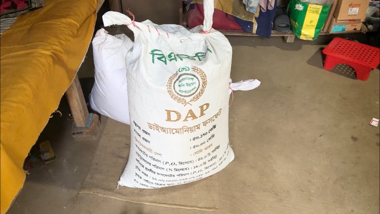 বৌ বাপের বাড়ী থেকে কি আনলো 