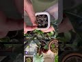 Разговариваете с растениями? Тогда вам в мой блог 🤭