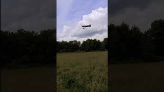 #P40 #warbird#rcflugzeug