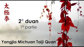 2 Duan - 1 Partie - Yangjia Michuan Taiji Quan