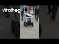 Delivery Robot Joins Human Protest || ViralHog
