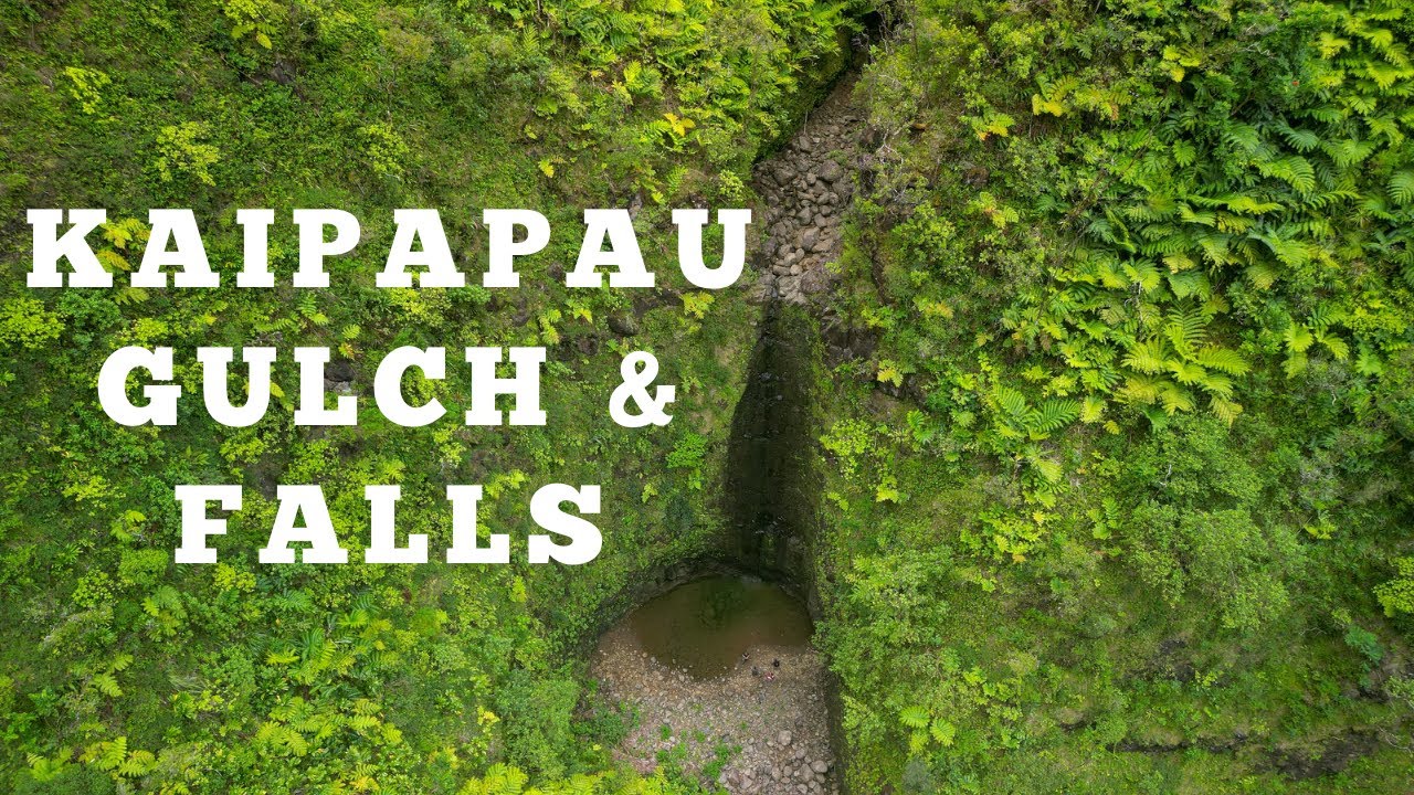 Kaipapau Gulch & Falls Secret Waterfall Hike Oahu, Hawaii YouTube