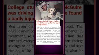 He Spent His College Savings to Save a Stranger's Dog