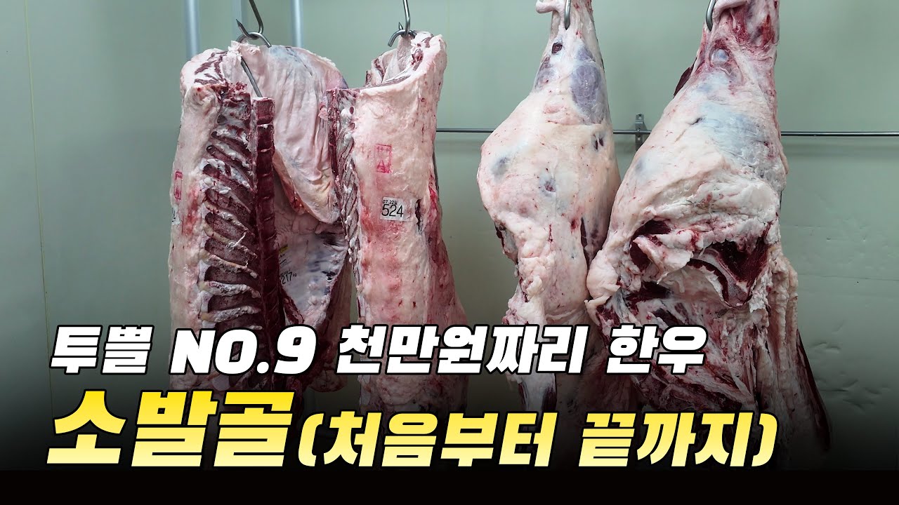 투쁠 No.9 천만 원짜리 한우 소발골(처음부터 끝까지)