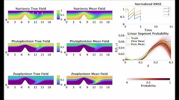 Learning Ecosystem Functions by Piecewise Polynomial Approximation