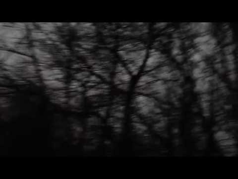 Spooky Walk