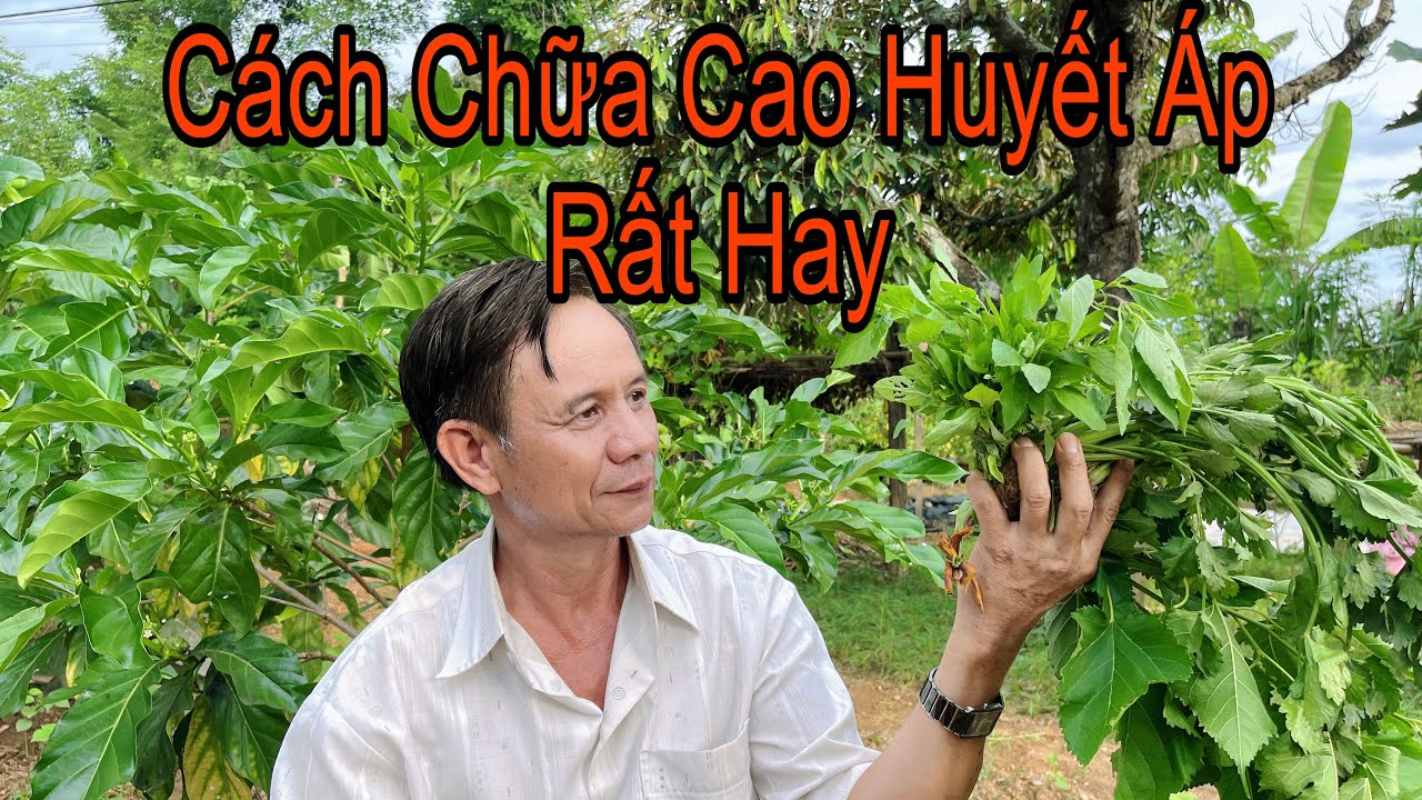 4 Cách Chữa Cao Huyết Áp Đơn Giản Mà Hiệu Quả Vô Cùng