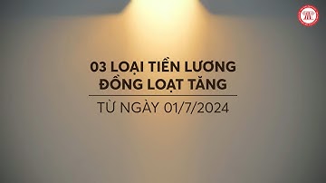 03 loại tiền lương đồng loạt tăng từ ngày 01/7/2024 | THƯ VIỆN PHÁP LUẬT
