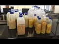 Diy natural all purpose cleaners orange enzyme  nothing is going to waste