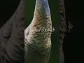 إن الله على كل شيء قدير أطمئن 