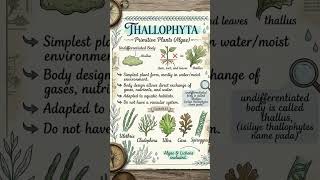 Thallophyta... Algae lower plant undifferentiated plant