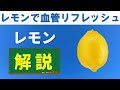 【レモンの魅力】日本のレモン事情から品種・栄養・健康効果を紐解く｜選び方・保存方法・役立つ豆知識も解説