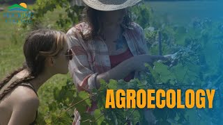 Agroecology program